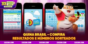 Quina Brasil – Confira Resultados e Números Sorteados